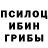 Псилоцибиновые грибы Psilocybine cubensis Samir Musakaev