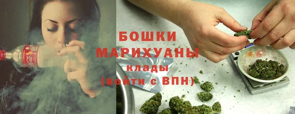 молекула духа Бронницы