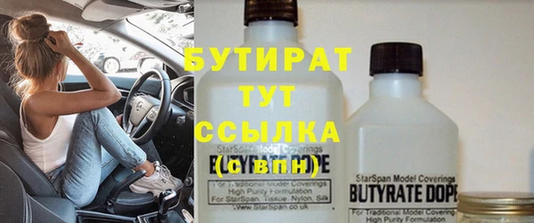 крисы Бородино