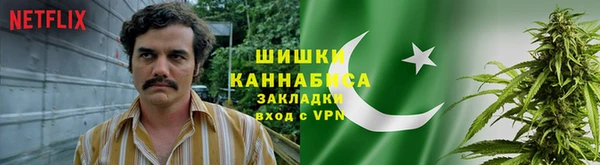 сатива Богородск