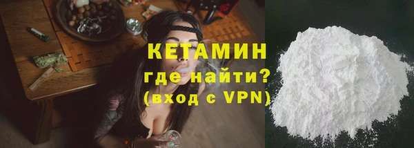 крисы Бородино