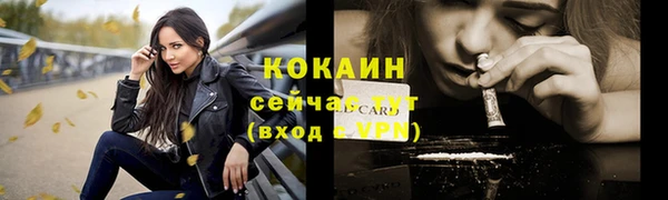 крисы Бородино