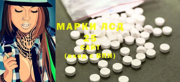 крисы Бородино