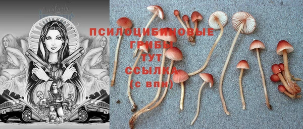эйфоретик Бугульма