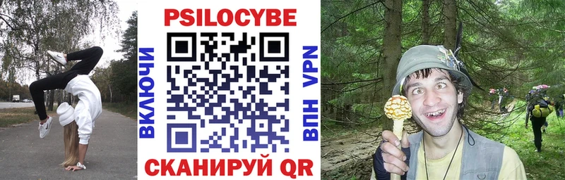 как найти закладки Верхняя Тура Псилоцибиновые грибы Magic Shrooms